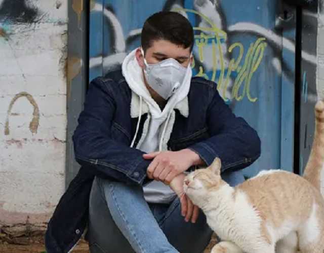 В ВОЗ исключили версию об искусственном происхождении коронавируса и заподозрили кошек