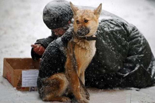 В Киеве бездомного не пустили в пункт обогрева: человек остался на улице
