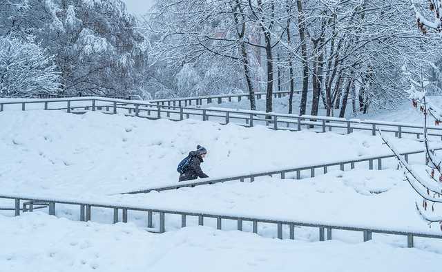 Метели и гололедица: какой будет погода в Украине в субботу