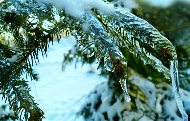 В Украину идет резкое потепление: уточненный прогноз синоптиков