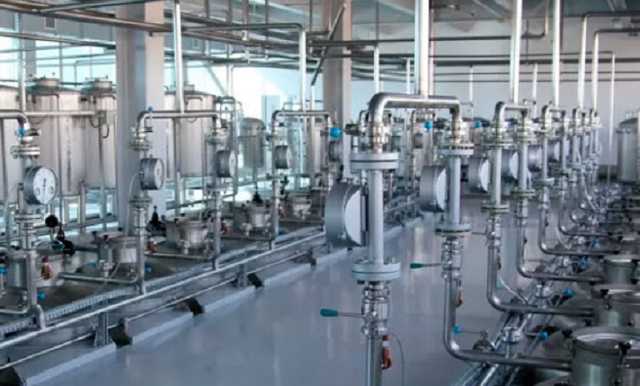 В Украине 50% алкоголя – контрафакт: власти задумали масштабную реформу рынка