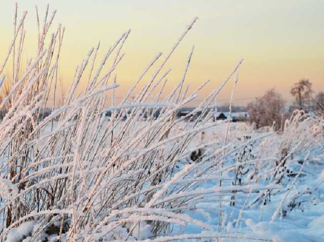 Подросток-сирота замерз насмерть в поле под Житомиром