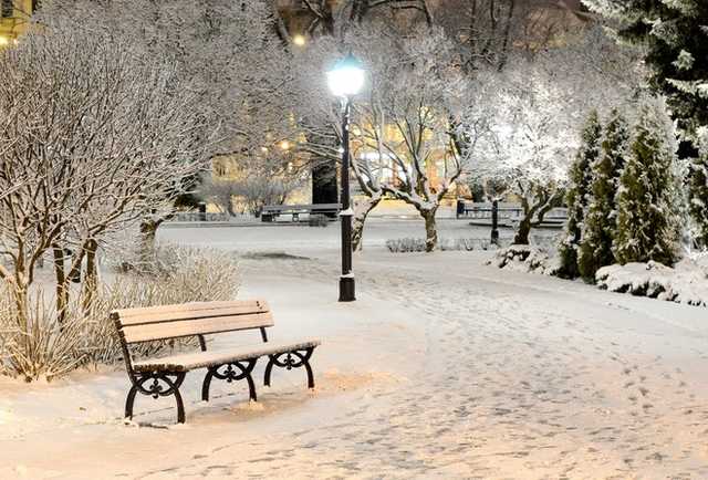 В Житомире на День влюбленных странная пара перевернула все лавки в сквере