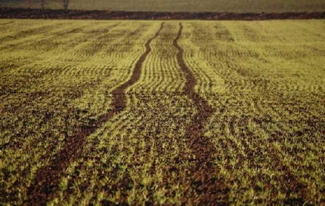 Рынок земли: конца света не будет, а вот агробаронам стоит начать волноваться