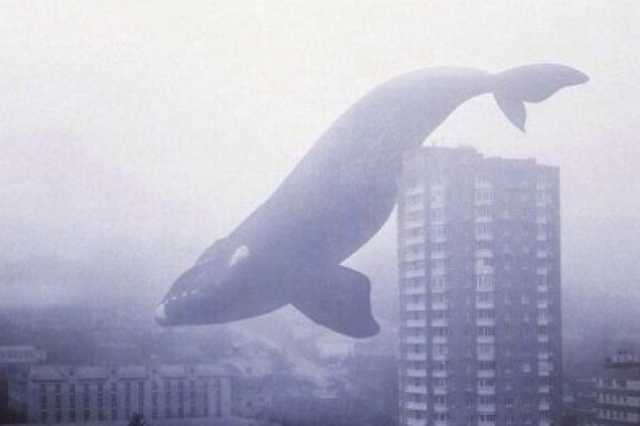 Ходил по путям, выполняя задание «группы смерти»: в Ровно чудом спасли подростка