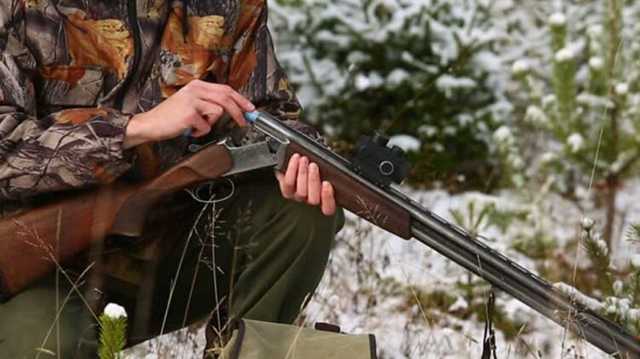 Под Киевом браконьеры застрелили беременную самку лося из Красной книги Украины