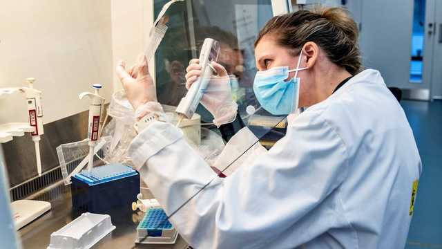 "Британский" штамм COVID-19 в Украине обнаружили случайно: как это произошло