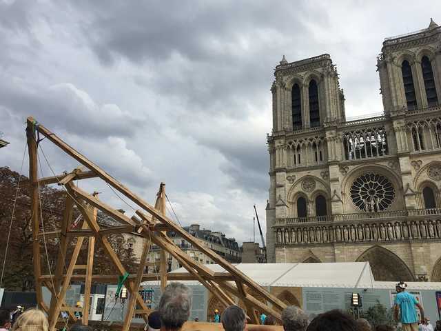 Срубят тысячу 100-летних дубов для шпиля: как будут реконструировать Нотр-Дам