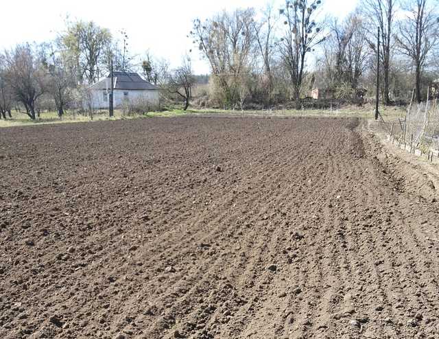 Укропская ведьма