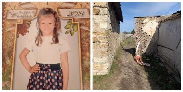 Подозреваемый в убийстве Маши Борисовой хотел совершить самоубийство, – глава Нацполиции