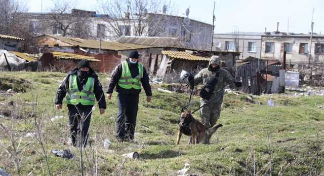 В полиции рассказали о поведении подозреваемого в убийстве Маши Борисовой до разоблачения