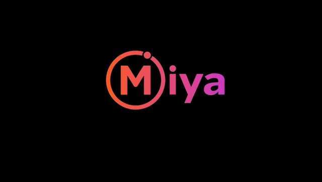 Мия для России? Как сепаратист из Луганска оббирал украинцев через Мия Холдинг