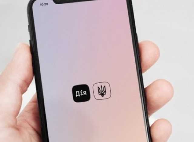 В Минцифре рассказали, сколько предпринимателей воспользовались порталом «Дія»