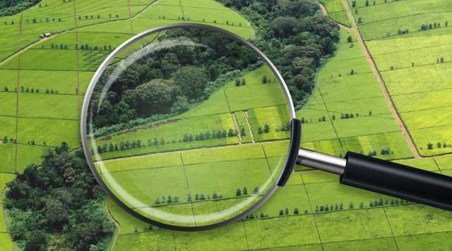 Директора госпредприятия обвинили в служебной халатности, повлекшей 23 млн гривен убытков