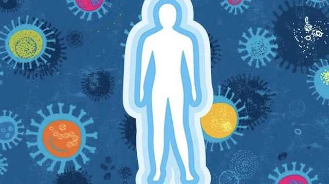 В России сообщили, сколько держится иммунитет у переболевших COVID-19