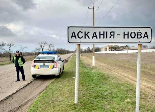 Более 60 мертвых серых журавлей: в "Аскании-Новой" снова массово гибнут краснокнижные птицы