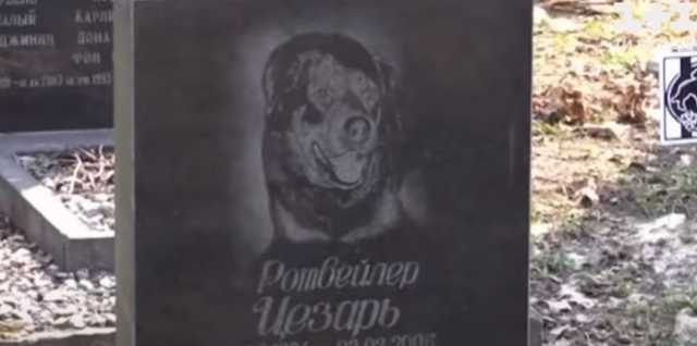 Могилы с цветами и крестами: в Николаеве парк превратили в кладбище для животных