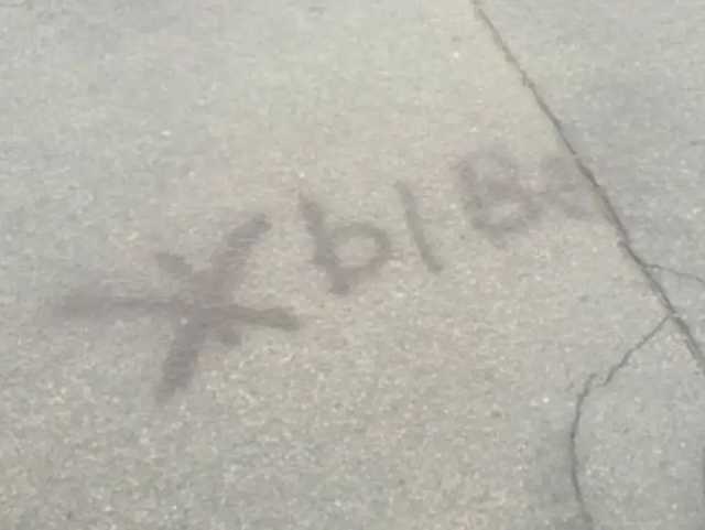 В Беларуси школьницу забрали в милицию за слово «Жыве» на асфальте