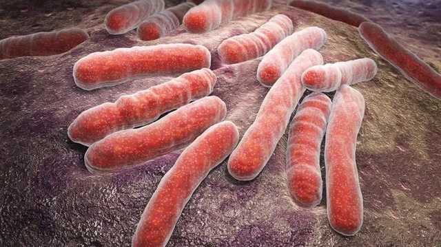 В МОЗ сообщили, сколько украинцев заболели туберкулезом в марте