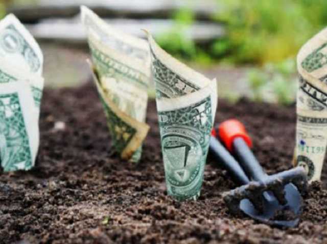 Фермер не сможет купить украинскую землю после открытия рынка - Ассоциации фермеров Украины