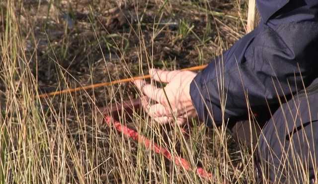 В Донецкой области расследуют применение оккупантами запрещенных мин