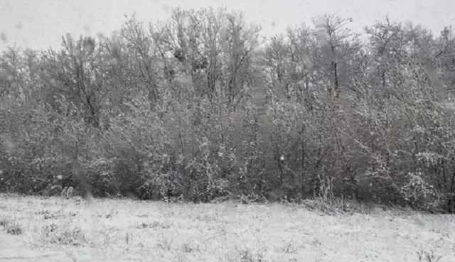 В регионах Украины посреди весны выпал снег