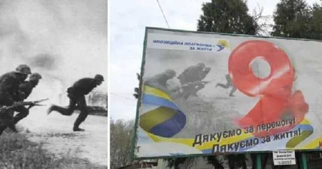 В Житомире депутат ОПЗЖ поздравил биллбордом с 9 Мая солдат СС