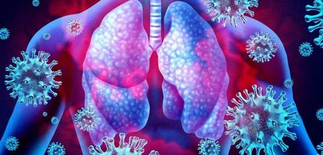 Ученые показали, как COVID-19 убивает клетки в организме