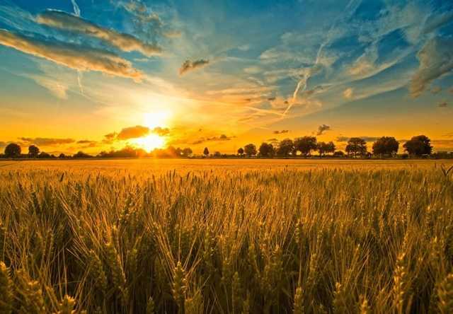 Бедная богатая Украина. Только цифры