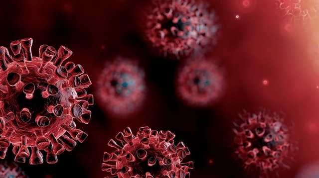 Украина оказалась на 1 месте по смертности от COVID-19 в Европе за сутки