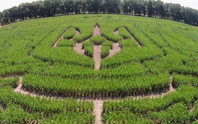 У Зеленского земля уходит из под ног — эксперт