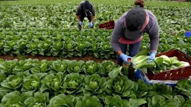 Сколько украинские заробитчане получают в Польше: названы самые востребованные вакансии