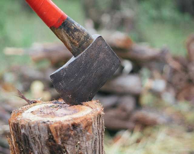 В реабилитационном центре в Херсонской области людей незаконно заставляли работать