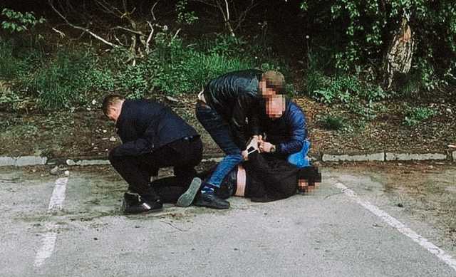 В Стрые полицейский помогал незаконной вырубке леса