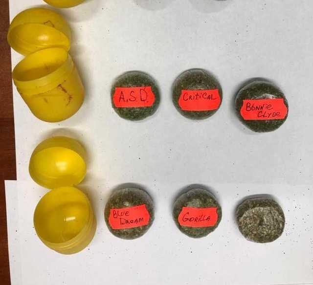 Киндер-сюрприз: В Харьковской области пограничники обнаружили у россиянки наркотики в детских "киндерах"