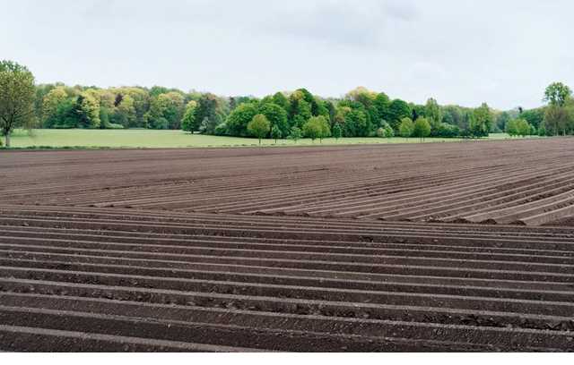 В Україні подорожчала сільськогосподарська земля