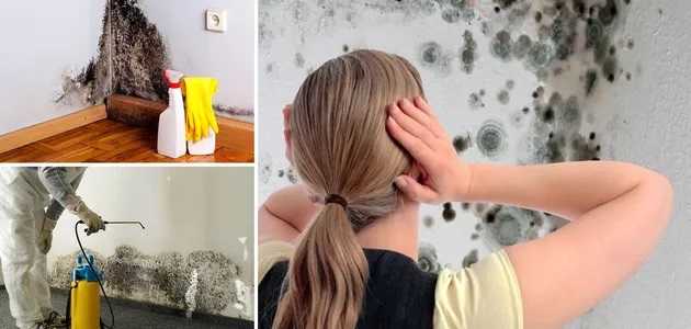 Украинцы превращают многоэтажки в "дома-убийцы": чем опасно лоскутное утепление