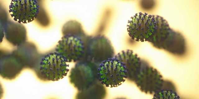 Коронавирусом в Украине заболели более 2 тысяч человек за сутки, умерли 163