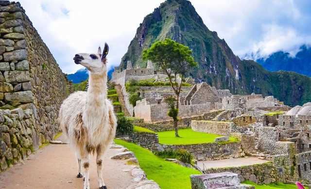 Украина заключила договор о "безвизе" с еще одной страной