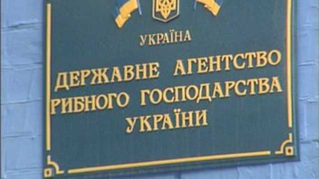 Новый глава Госрыбагентства почти все имущество оформил на жену и сына