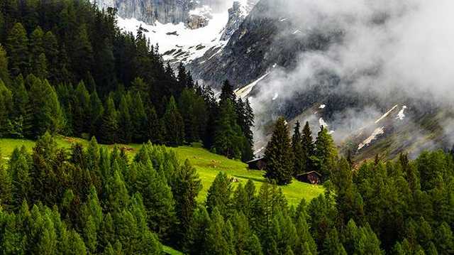 Кабмин открывает доступ к 35 реестрам с экологической информацией, - Шмыгаль