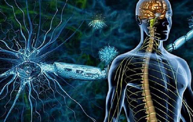 Ковид бьет по нервной системе. И об этом мало говорят, – Амелин