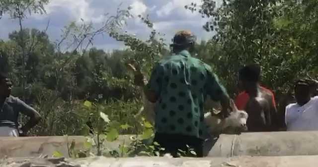 В Днепре на пляже 12 иностранцев убивали и сжигали коз