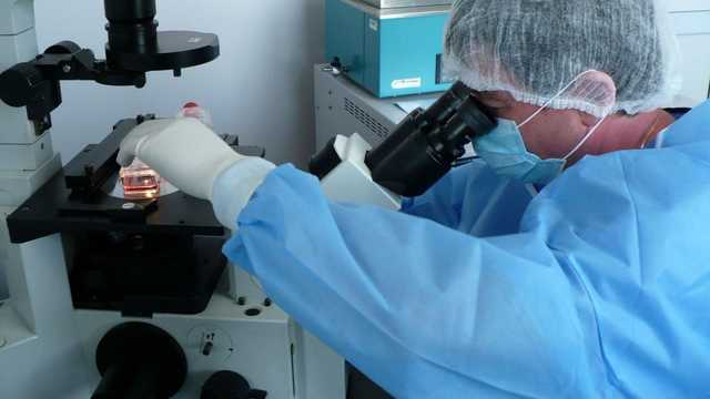 Лечение COVID-19 стволовыми клетками: эксклюзив по-украински