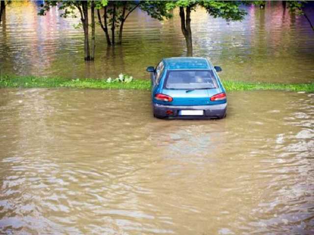 Подтопленные дома, поврежденные дороги и поваленные деревья: впечатляющие видео непогоды в Украине