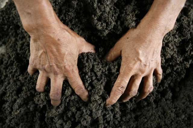 Украинцев хотят обложить налогом «на огород»