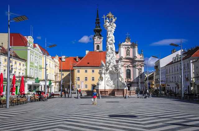 В Австрии суд вынес приговор отцу и сыну, научившим собаку зиговать