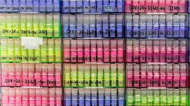 В Бразилии нашли новый вариант штамма коронавируса "Лямбда", впервые обнаруженного в Перу