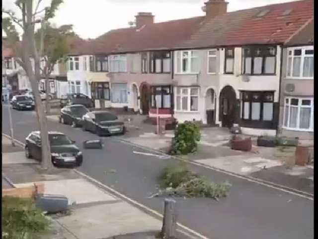 Повреждены дома и повалены деревья: мощный торнадо обрушился на Восточный Лондон