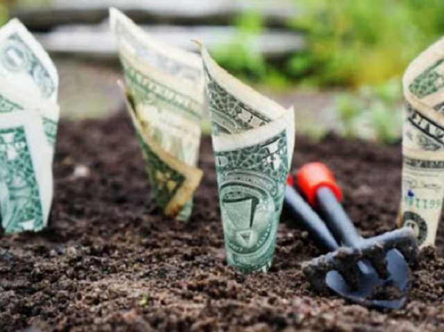 Тільки 5% українців будуть готові продавати землю, – заступник міністра агрополітики